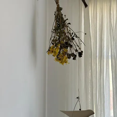 The Lassis 15 House *